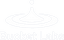 Bucket Labs